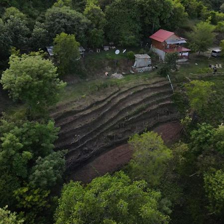 Tsanava'S Cottage In Sighnaghi Exterior photo