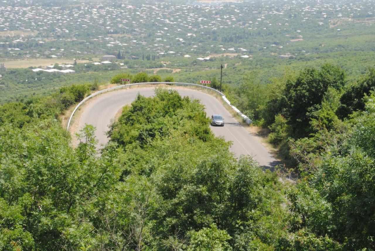 Tsanava'S Cottage In Sighnaghi Exterior photo
